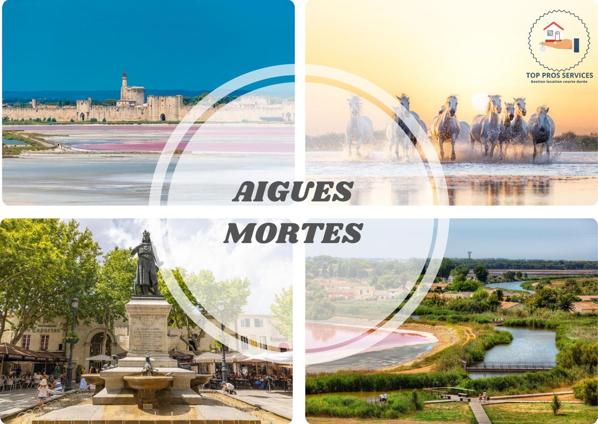 Le Sunrise Vue Mer Acces Plage- Spacieux-2 Terrasses-Wifi - Confort -Top Pros Servicesconciergerielagrandemotte ลา กร็องเดอ-ม็อต ภายนอก รูปภาพ